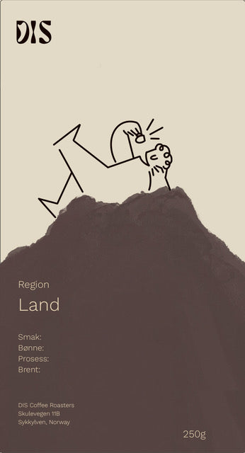 Etiopia Bensa Bombe Økologisk (Forhåndsbestilling)